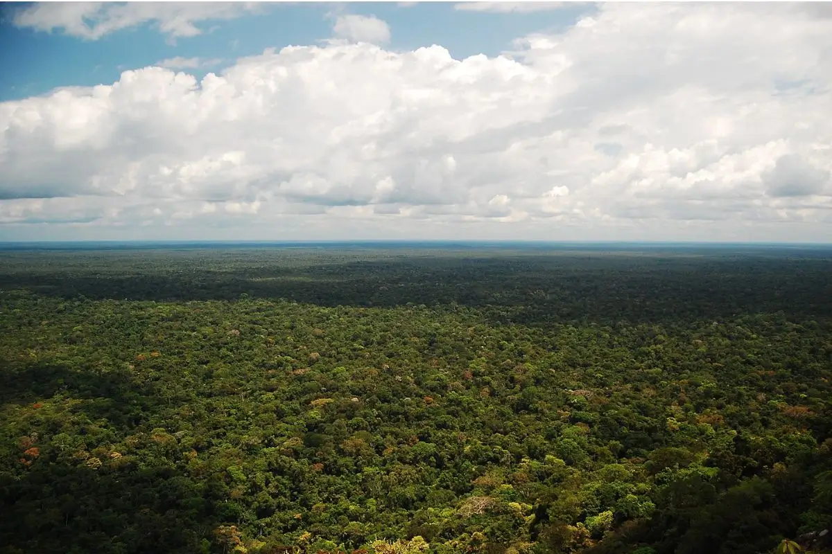 Como Visitar o Pico da Neblina, o Ponto mais Alto do Brasil