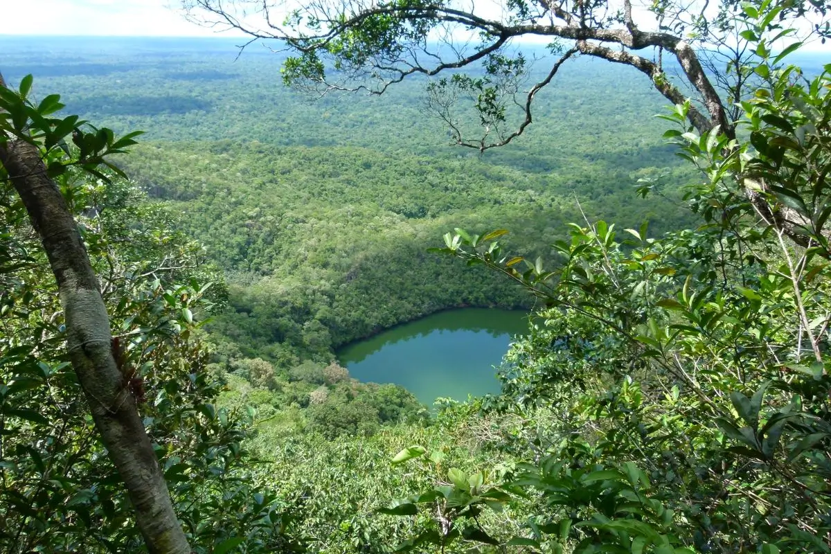 Como Visitar o Pico da Neblina, o Ponto mais Alto do Brasil