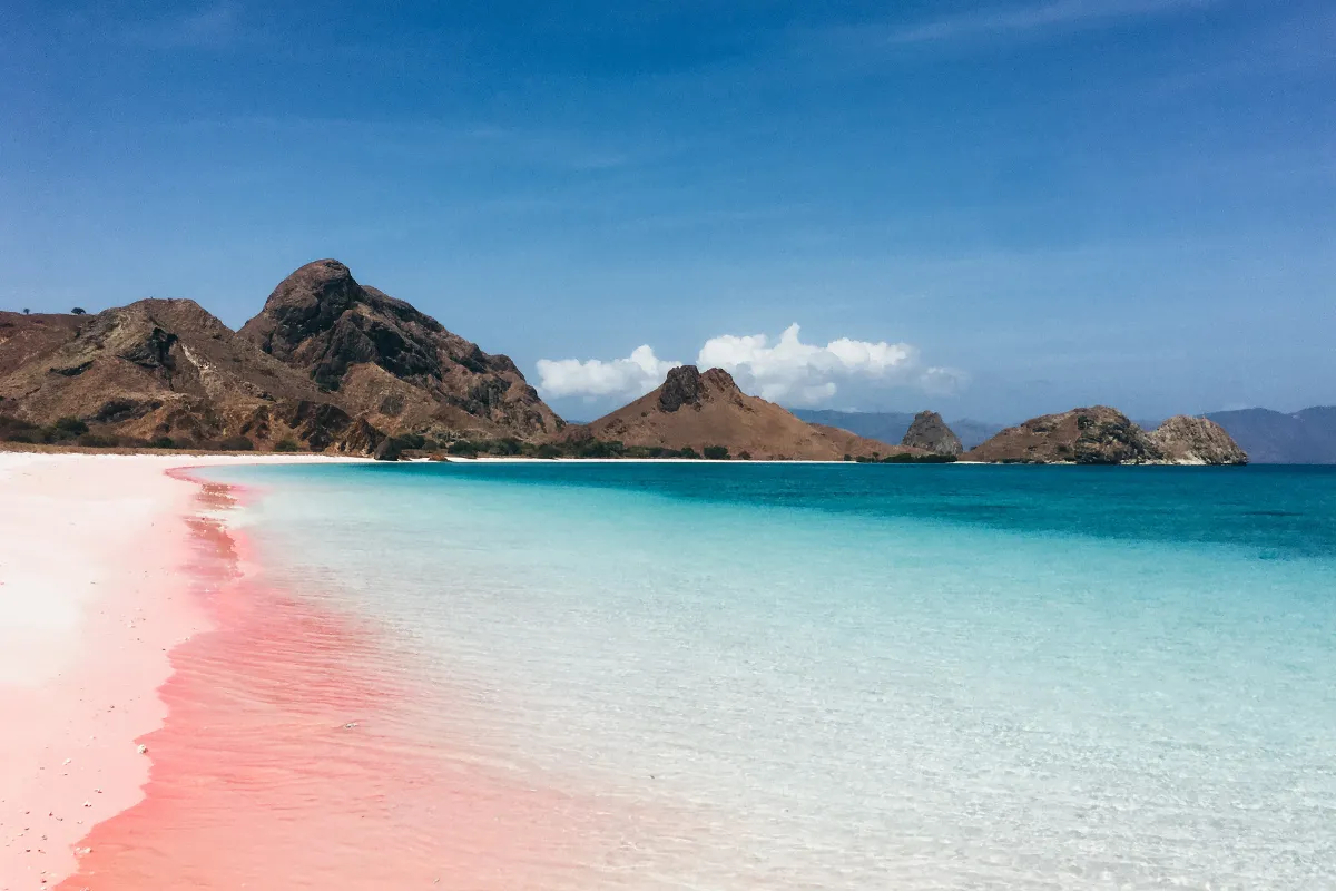 Pink Sands Beach