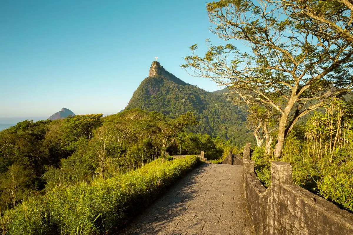 Explorando o que fazer na Floresta da Tijuca do Rio de Janeiro