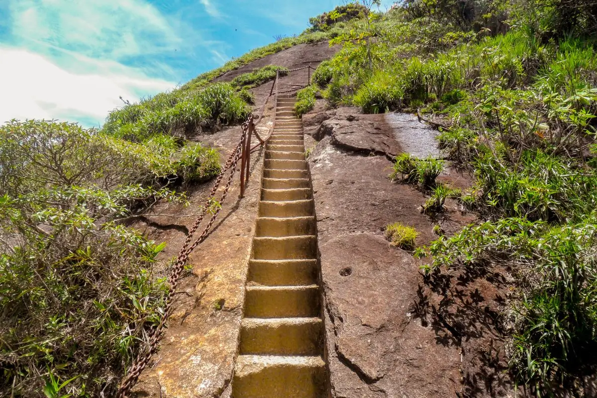 Explorando o que fazer na Floresta da Tijuca do Rio de Janeiro