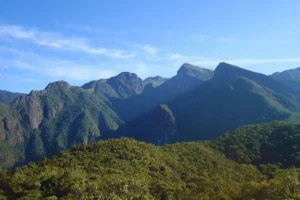 Guia Completo para Visitar a Serrinha do Alambari RJ