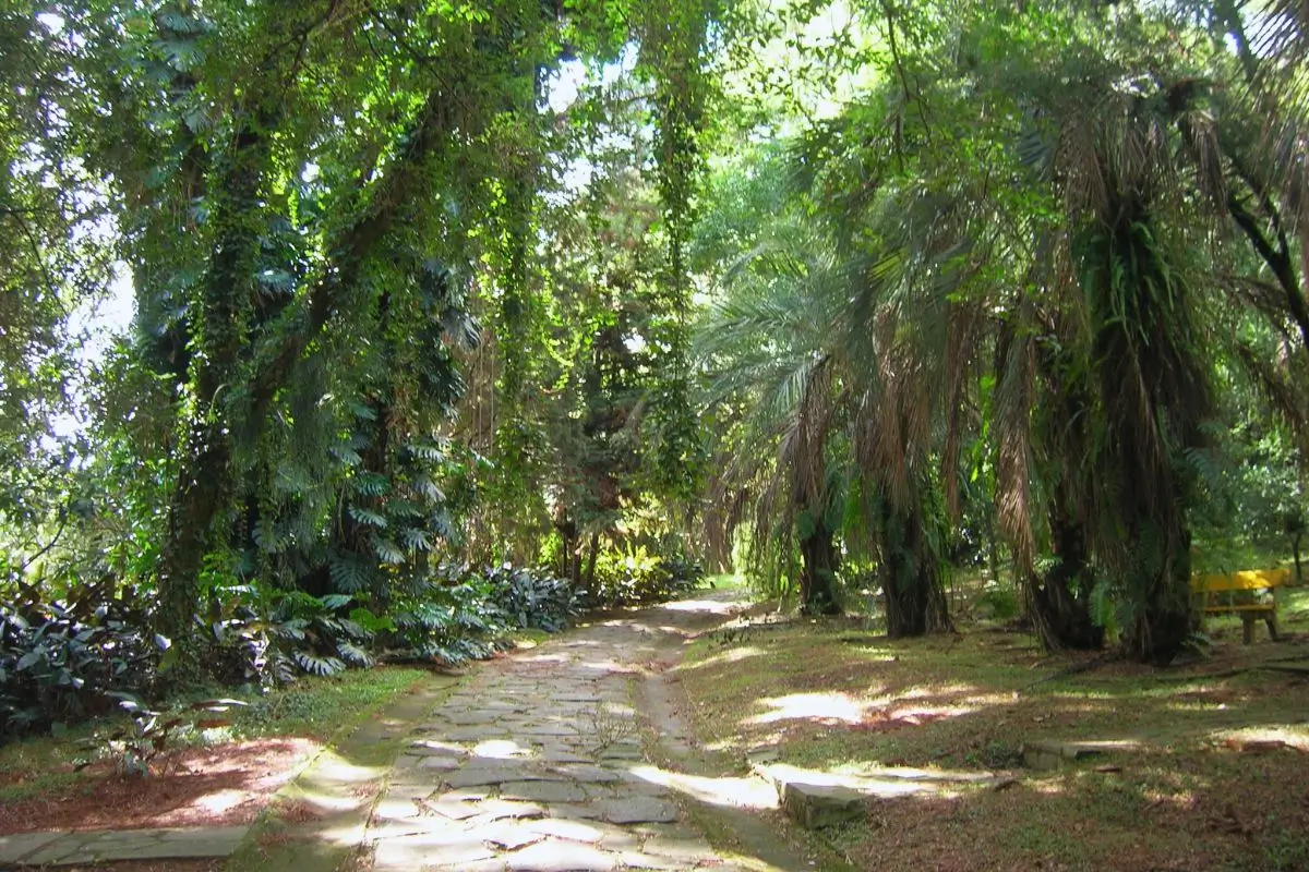 1 dia no Jardim Botânico de Porto Alegre, RS!