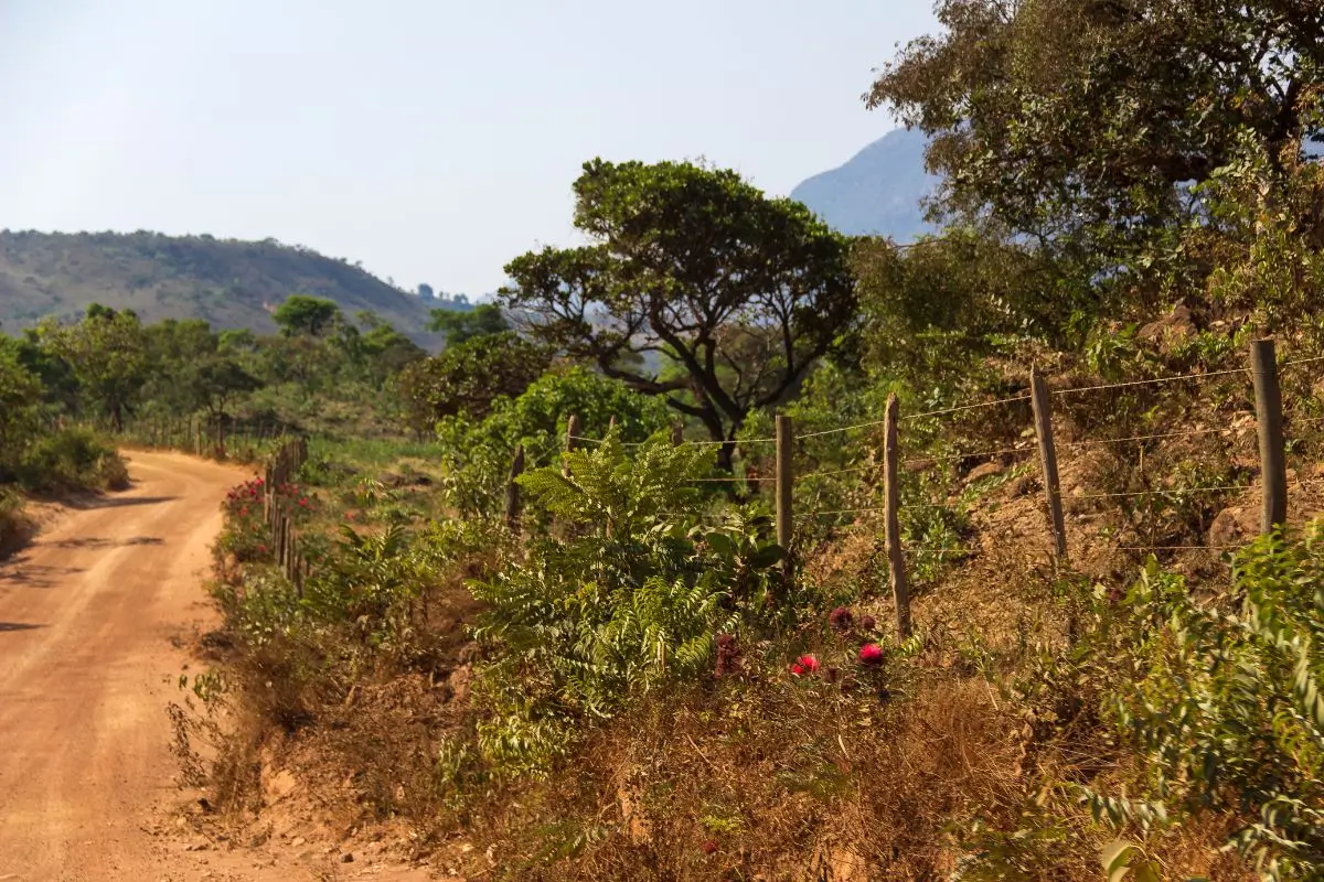 Guia Completo para visitar a Serra do Cipó, o “Jardim do Brasil”