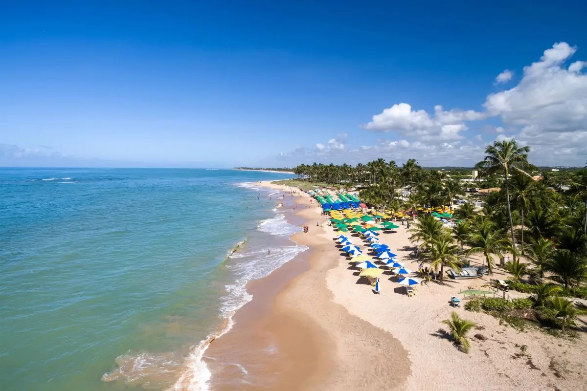 Praia do Forte: Tudo o que você precisa saber antes de viajar!