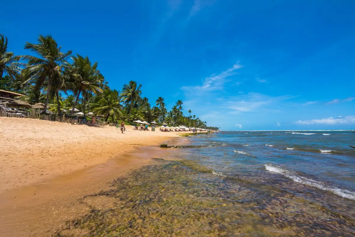 Praia do Forte: Tudo o que você precisa saber antes de viajar!