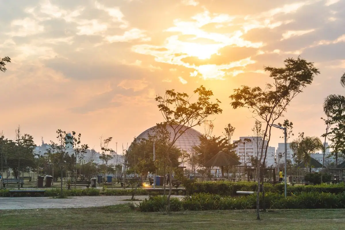 Guia para um passeio pelo Parque Villa-Lobos em São Paulo