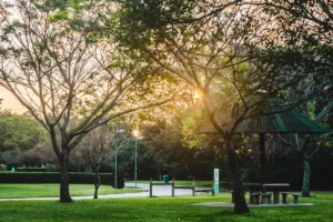 Guia para um passeio pelo Parque Villa-Lobos em São Paulo