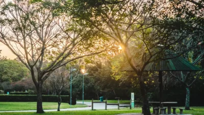 Guia para um passeio pelo Parque Villa-Lobos em São Paulo