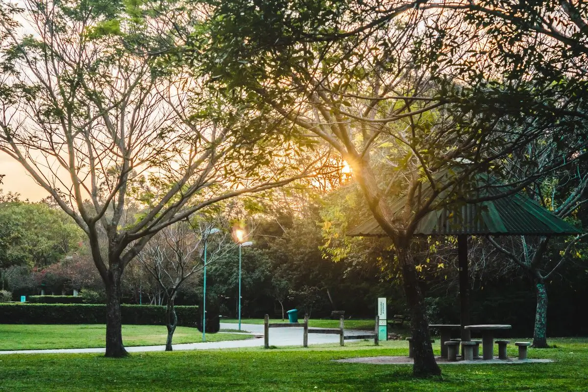 Guia para um passeio pelo Parque Villa-Lobos em São Paulo