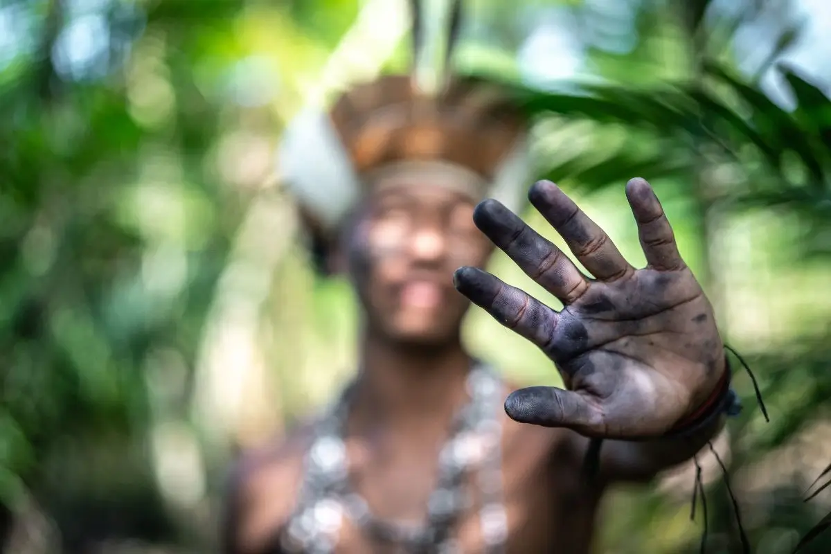 homem indígena: Etnoturismo na Amazônia Legal: Turismo Sustentável e Valorização das Culturas Indígenas