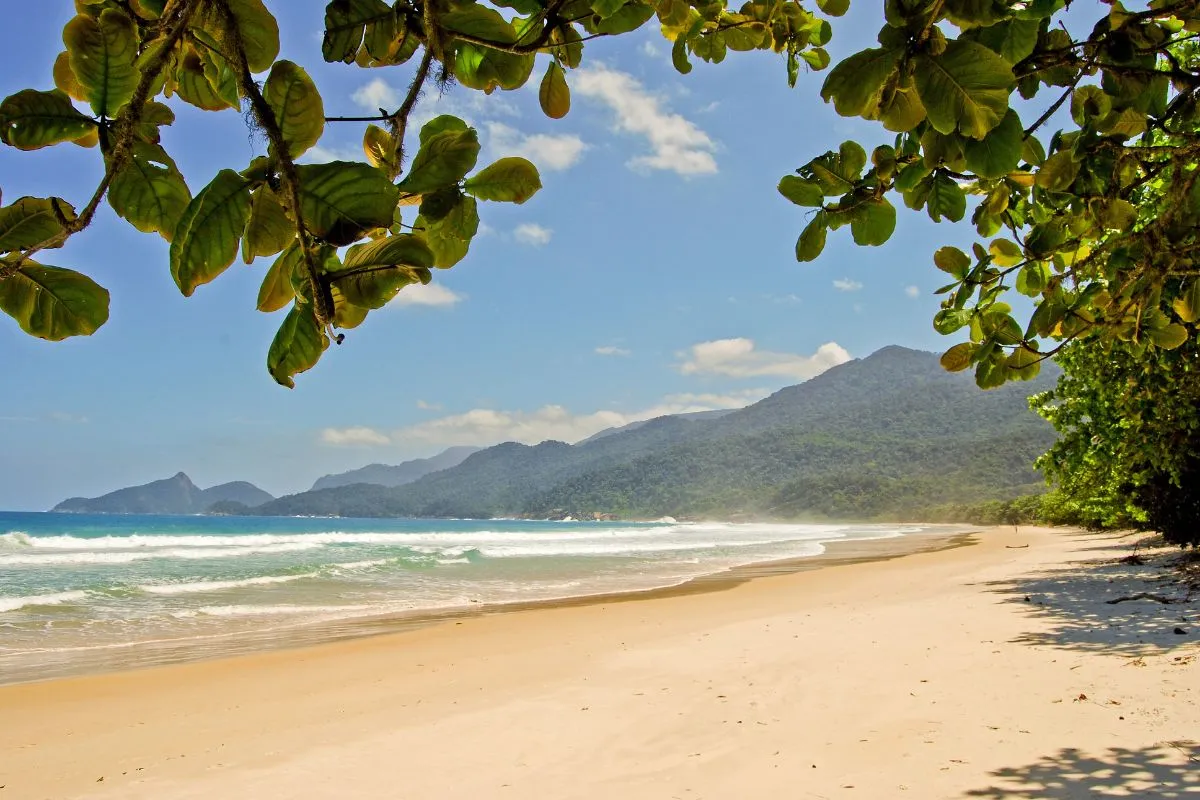 Ilha Grande