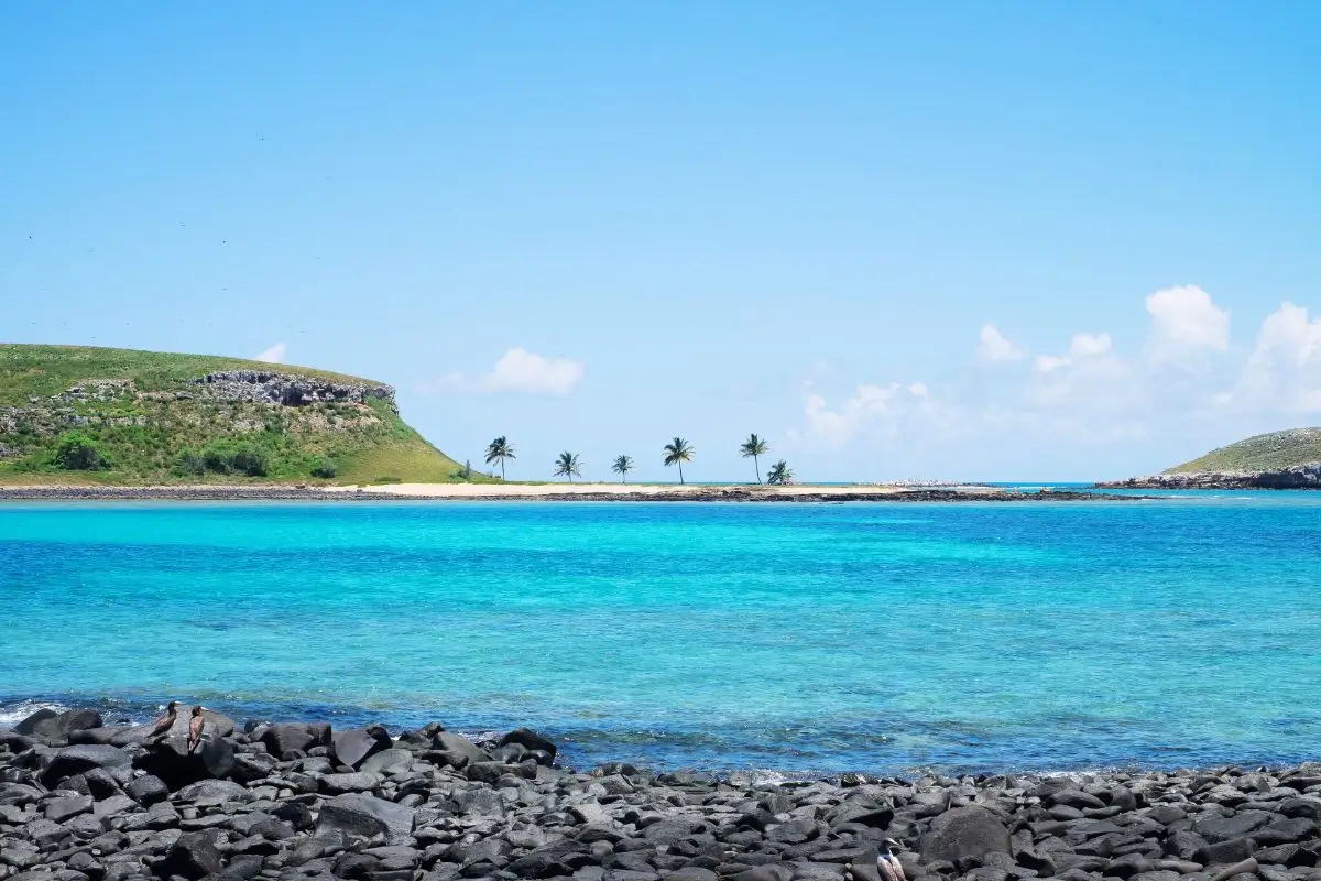 lugares para viajar no brasil pouco conhecidos: arquipélago de abrolhos ba