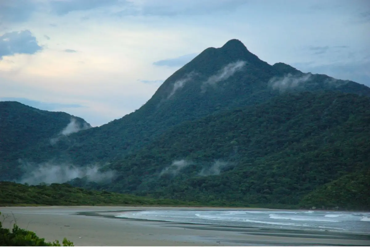 O que fazer no Parque Estadual Ilha do Cardoso, Cananéia SP