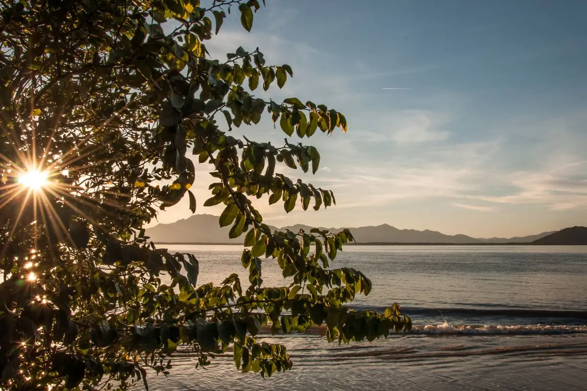 O que fazer no Parque Estadual Ilha do Cardoso, Cananéia SP