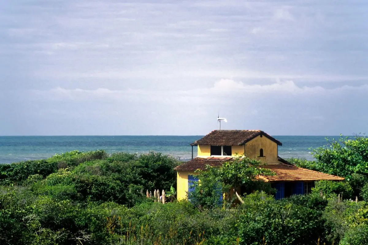 O que fazer no Parque Estadual Ilha do Cardoso, Cananéia SP