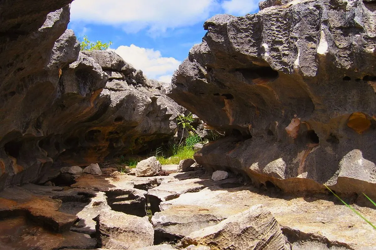 8 Chapadas do Brasil que você Precisa Conhecer: chapada do apodi