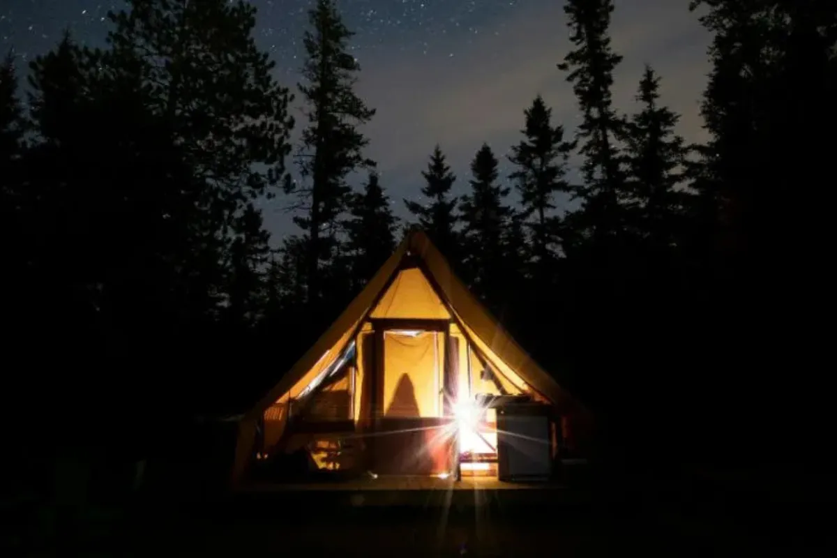 Barraca de acampamento em meio à floresta a noite