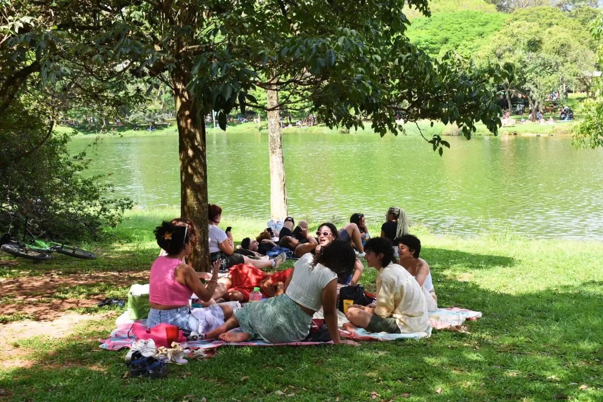 amigos sentados na grama fazendo piquenique no parque ibirapuera sp