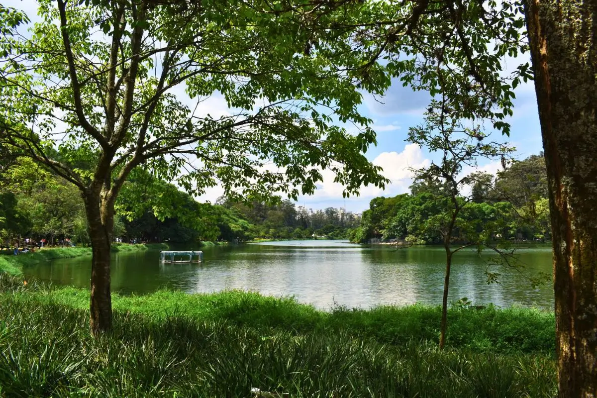 Lago do Parque Ibirapuera em São Paulo, SP