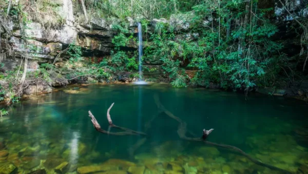 bate e volta brasilia cachoeira