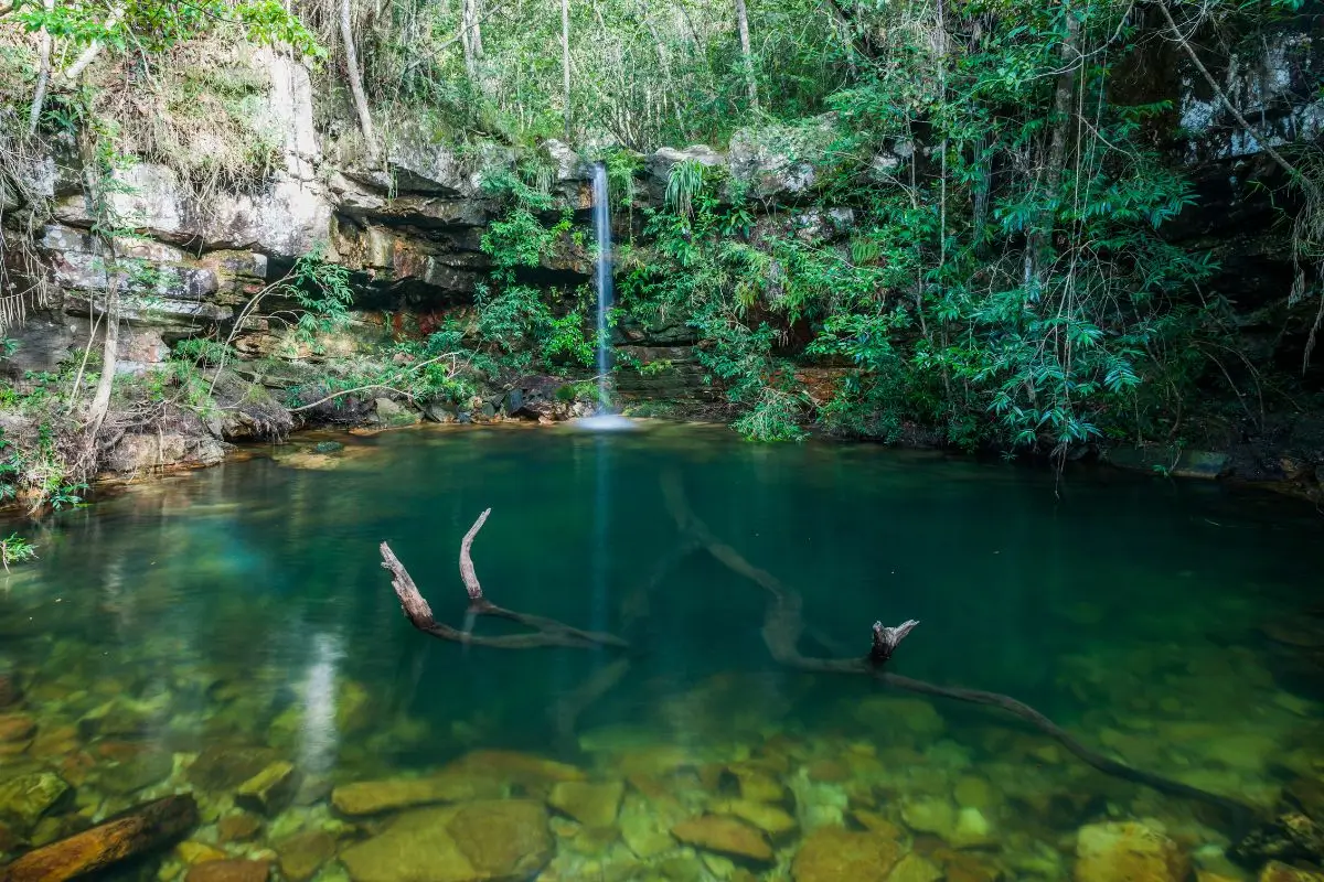 bate e volta brasilia cachoeira